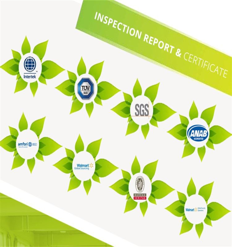 certification (1)