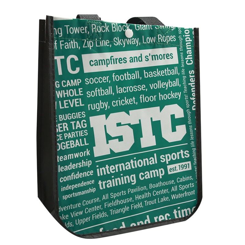 Non Woven foldable bag