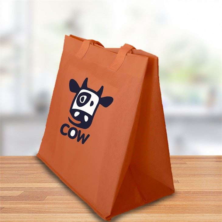 Best RPET Biodegrable Bag With Lamination